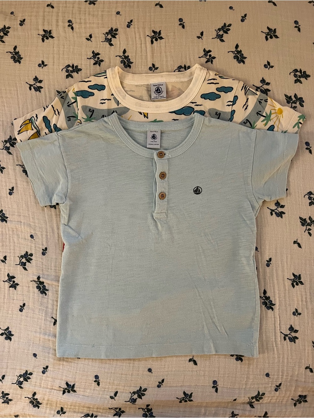 Boys Tee by Petit Bateau - 4/5Y